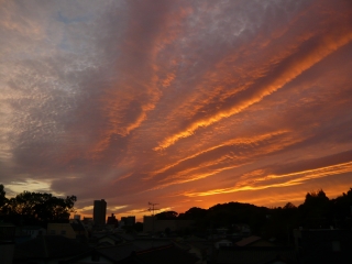 夕焼け