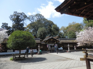 平野神社２