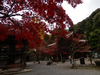 定光寺