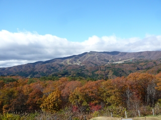 ひるがの高原